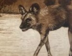 Wild Dog (49 x 28 cm) 